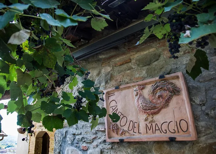 Il Canto Del Maggio * Penna