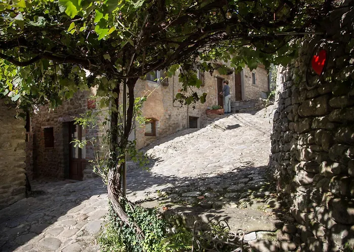 Il Canto Del Maggio Daire *