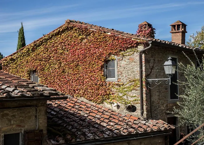 Il Canto Del Maggio Daire