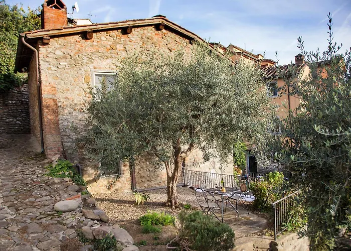 Il Canto Del Maggio Daire