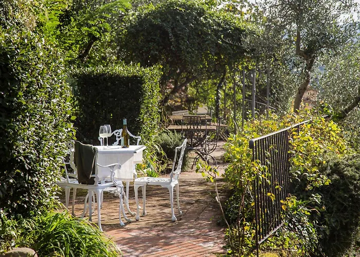 Il Canto Del Maggio Daire Penna